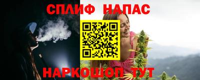 дмт Кингисепп