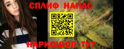 дмт Кингисепп