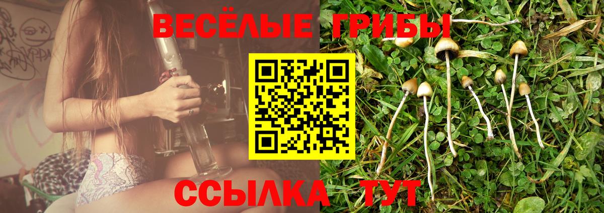 Галлюциногенные грибы GOLDEN TEACHER Усинск